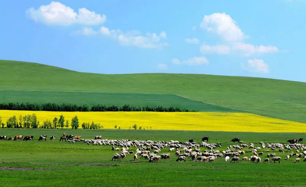 内蒙古，草原文明的辉煌篇章