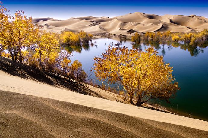 新疆，多元文化瑰宝与丝绸之路璀璨明珠